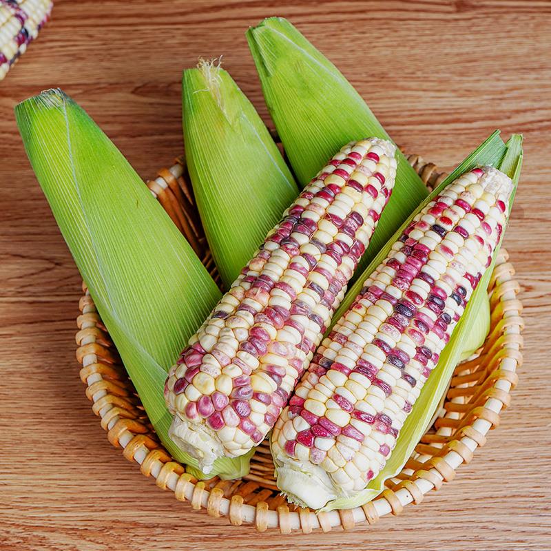 玉米新鲜花玉米棒蔬菜米粒嫩苞甜粘即食棒子水果新鲜玉米
