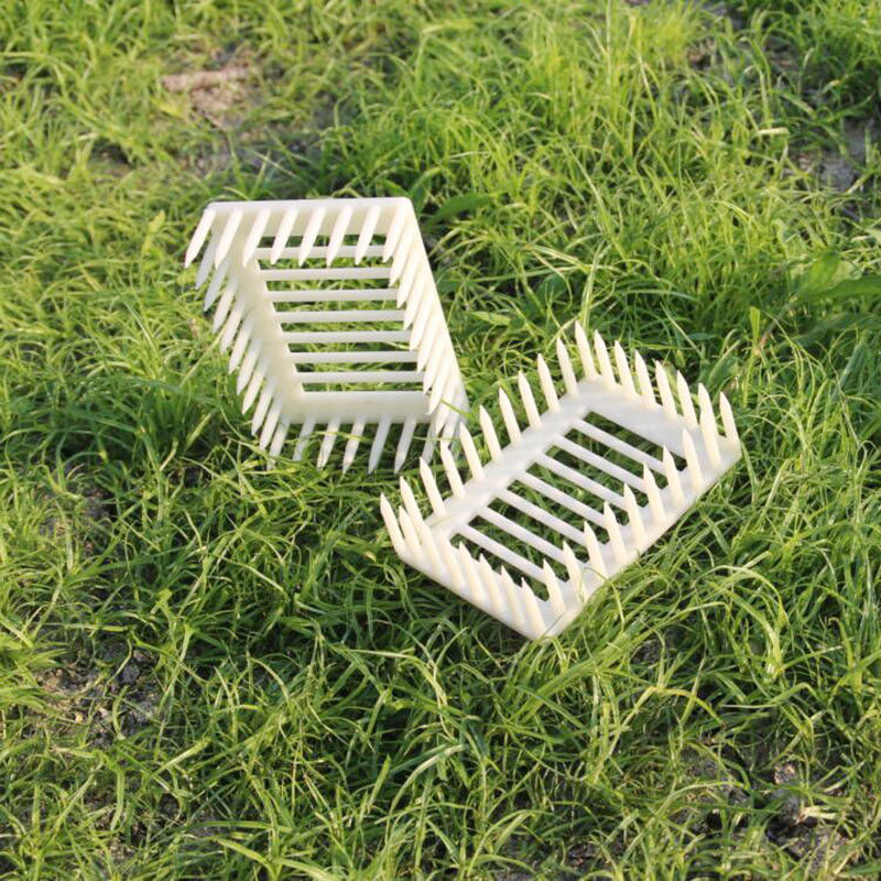 王笼塑料针式扣脾囚王笼防蜂王逃跑多功能蜜蜂王笼养蜂工具蜂王笼