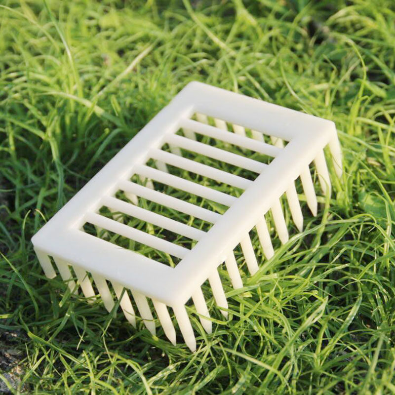 王笼塑料针式扣脾囚王笼防蜂王逃跑多功能蜜蜂王笼养蜂工具蜂王笼