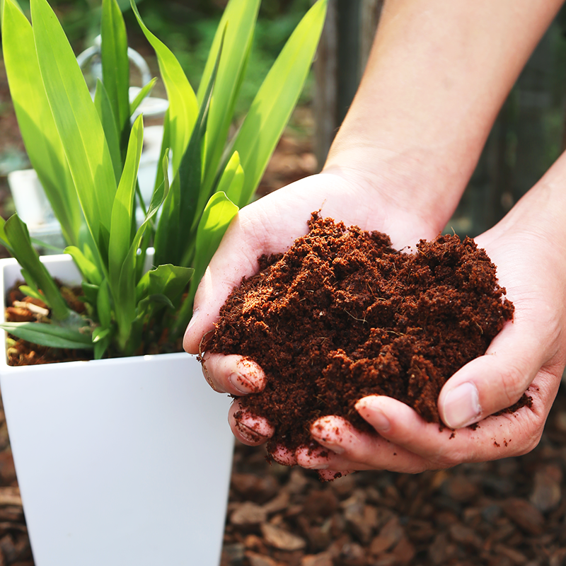 椰砖营养椰糠椰土养花种菜基质肥料椰壳砖无家庭园艺肥料