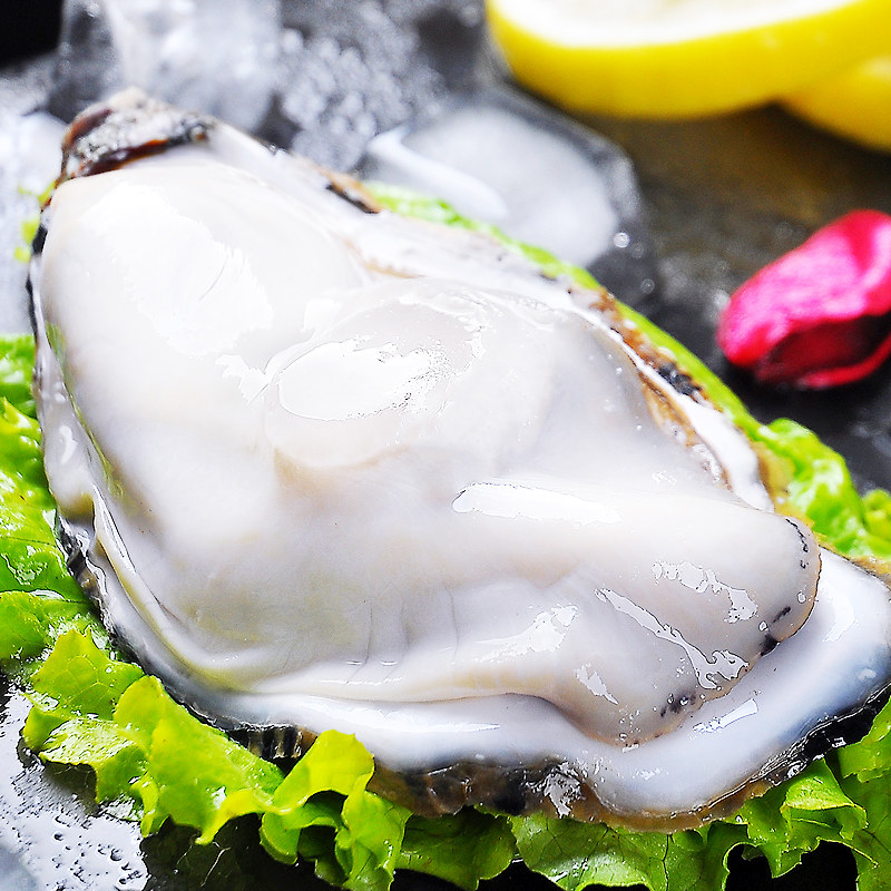乳山生蚝特大鲜活5斤一箱海鲜水产海贝壳新鲜生蚝