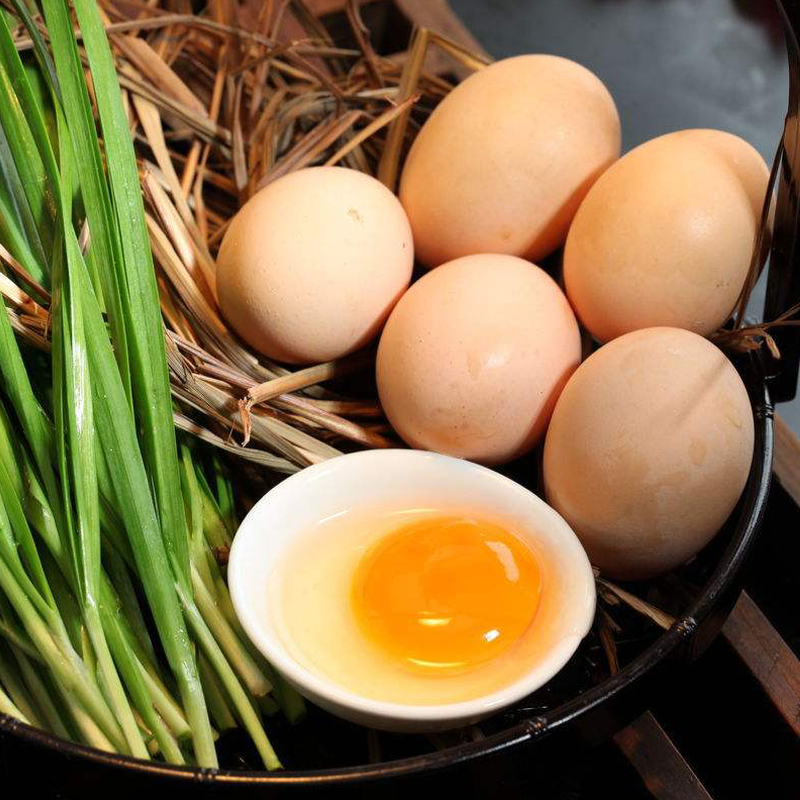 笨鸡蛋 10枚试吃装包邮农村林下散养土鸡蛋 农家新鲜草鸡蛋柴鸡蛋