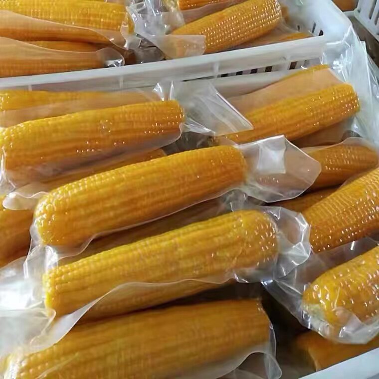 正宗东北寒地黄金粘糯玉米整箱棒香口感好软新鲜玉米