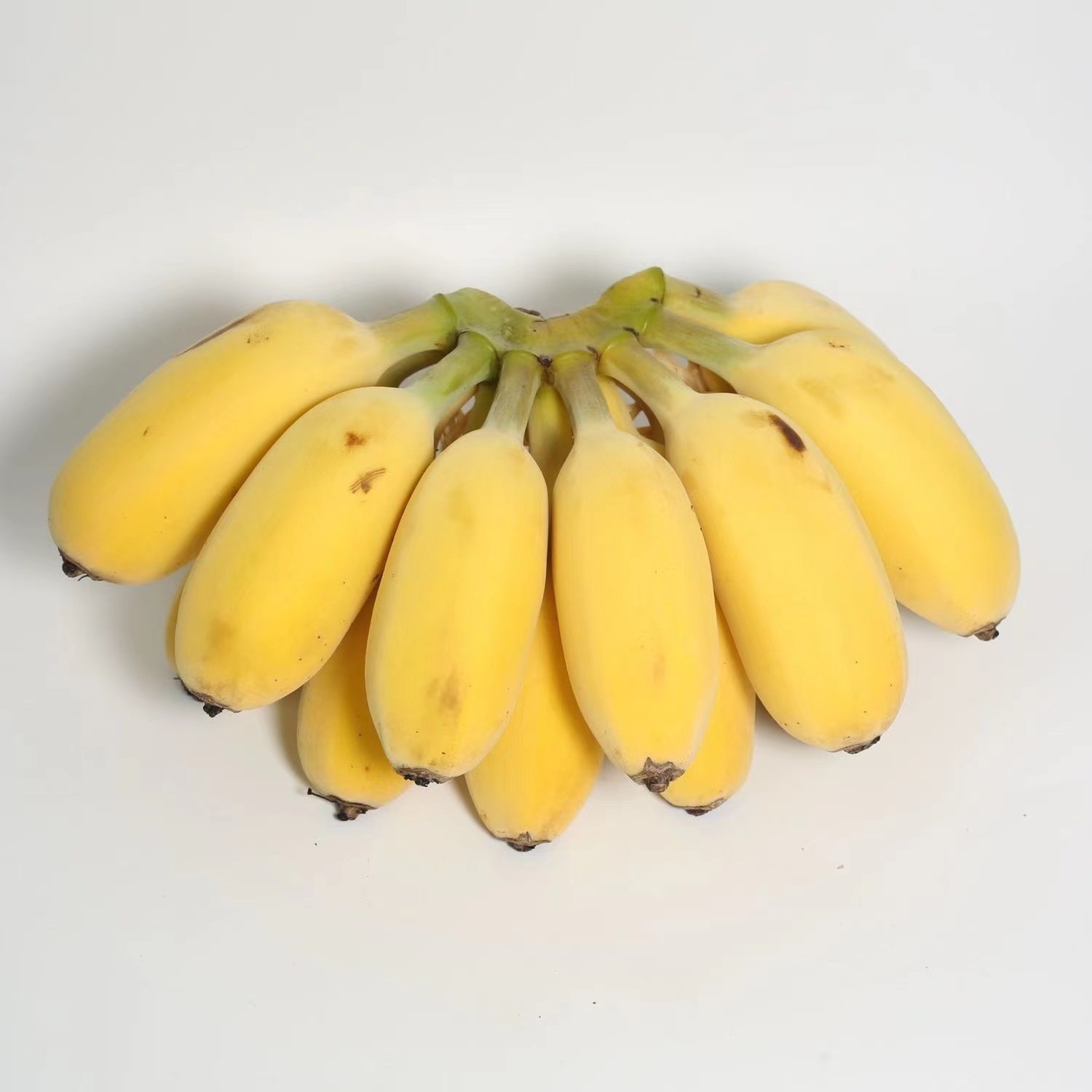 小米皇帝小香整箱粉蕉芭蕉蕉包包邮米蕉水果香蕉