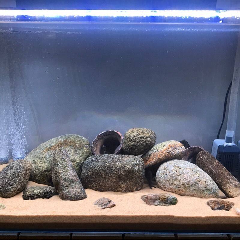 黄金沙鱼缸砂包化妆细沙黄色河沙底沙造景鱼底鱼缸