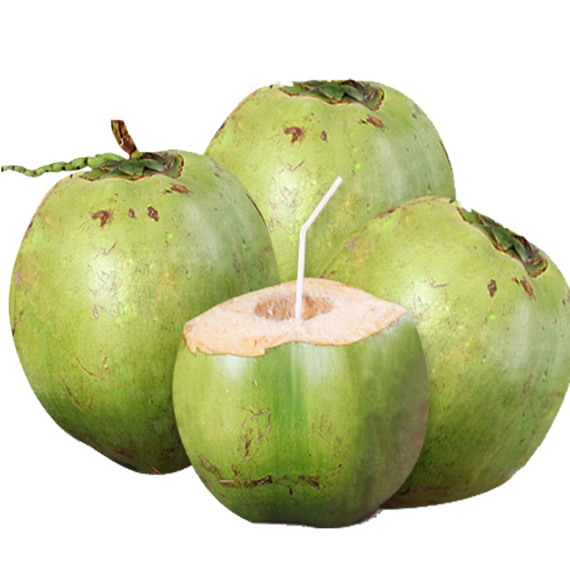 椰子4个海南新鲜椰青带皮多汁嫩大当季孕妇椰青