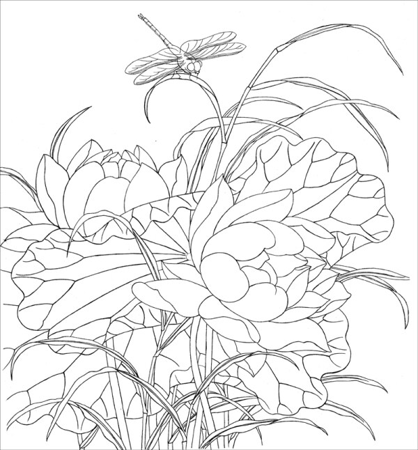 工笔画底稿余穉荷花白描打印稿宣纸有步骤文字国画