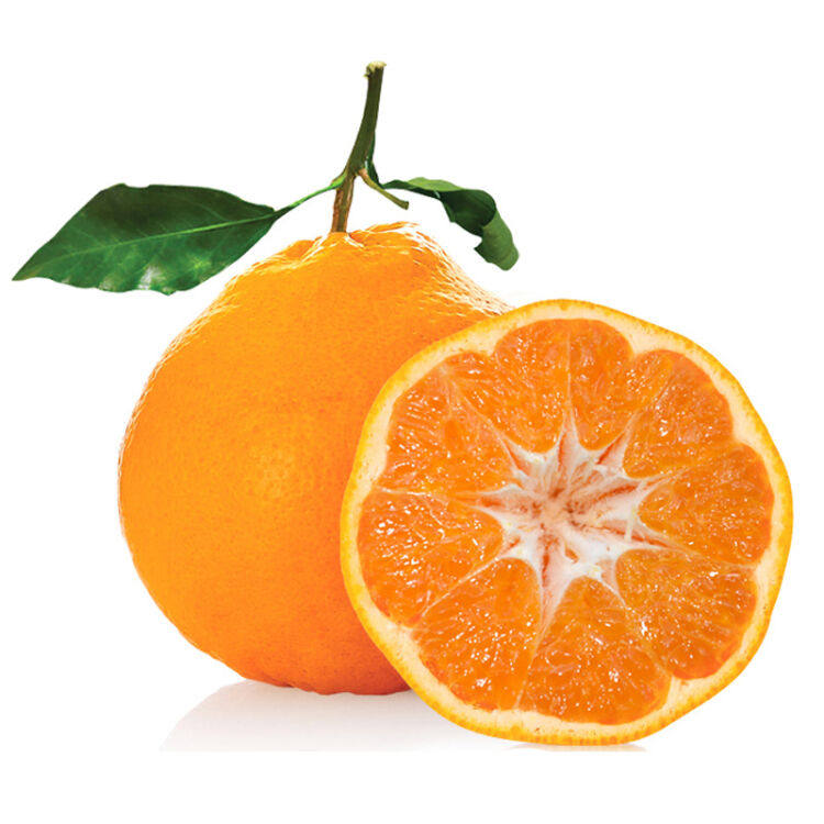 春见丑橘粑粑柑超甜多汁2019新果春见桔子孕妇5斤装只发辽宁省