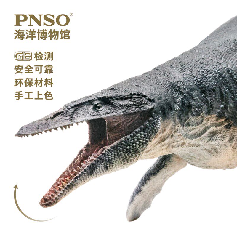 pnso沧龙罗恩恐龙博物馆科学艺术模型仿真