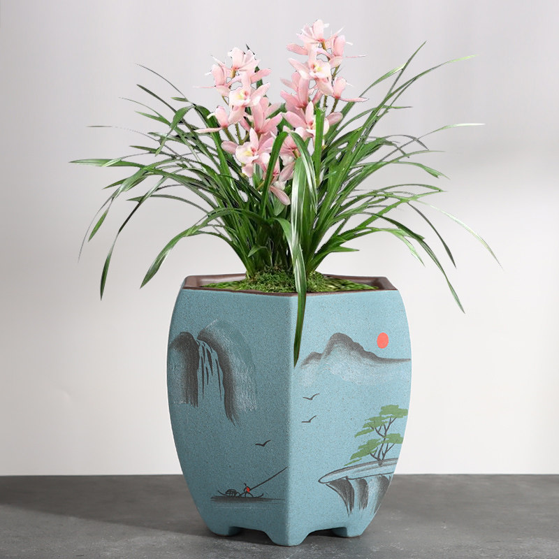 兰花花盆陶瓷紫砂室内绿植大盆景新中式创意花盆