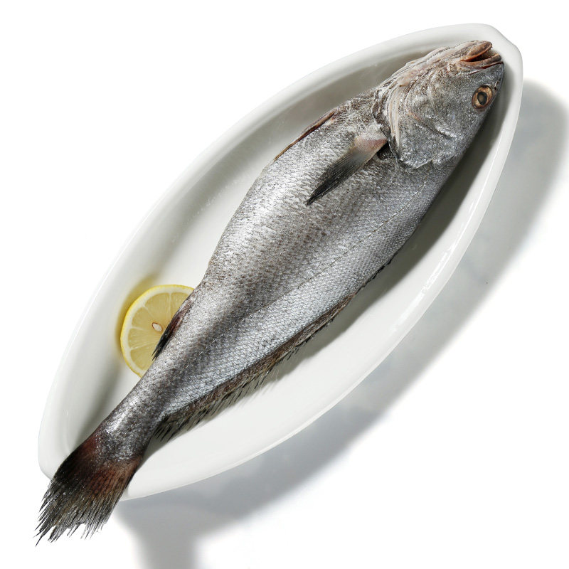 舟山本地新鲜大米米鱼深海捕捞大鮸鱼鳘鱼水其它