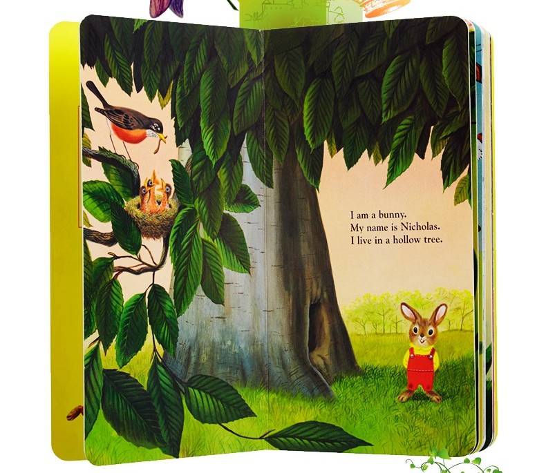 i am a bunny我是一只兔子0-3岁儿童英文启蒙绘本宝宝幼儿认知入门