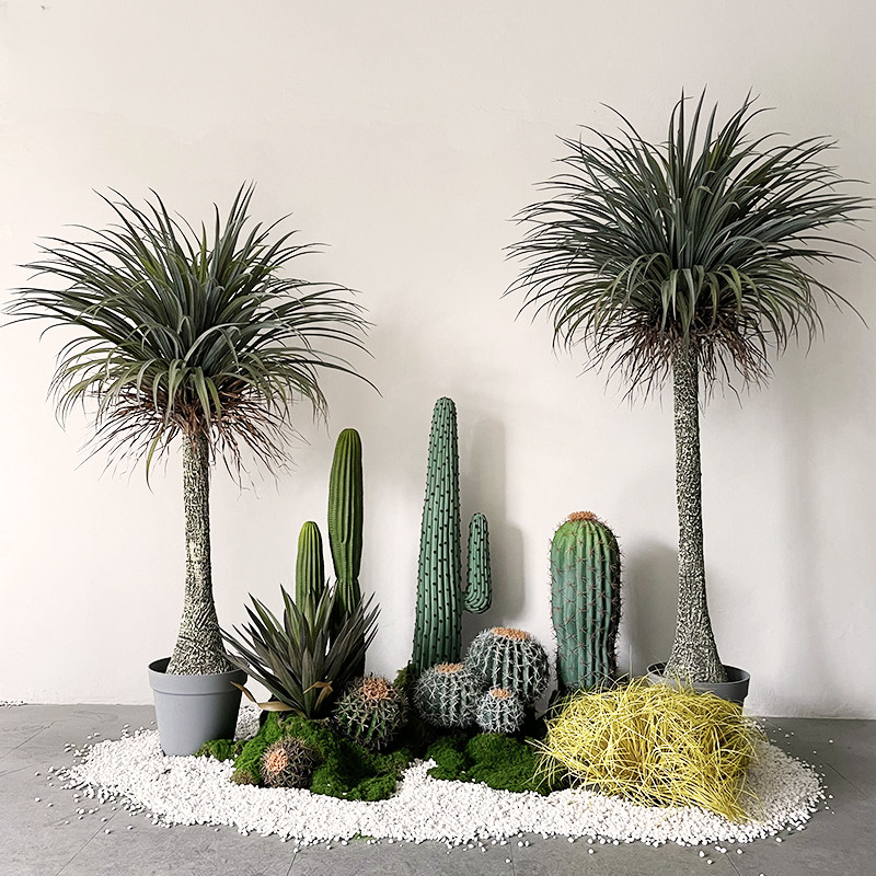 网红植物假植仿生热带千年龙血露营兰龙龙舌仿真绿植