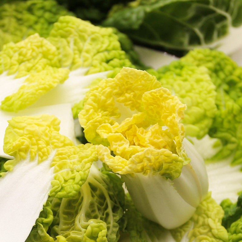 河南黄心菜新鲜5斤乌菜乌塌小白菜青菜窝窝白菜叶菜类