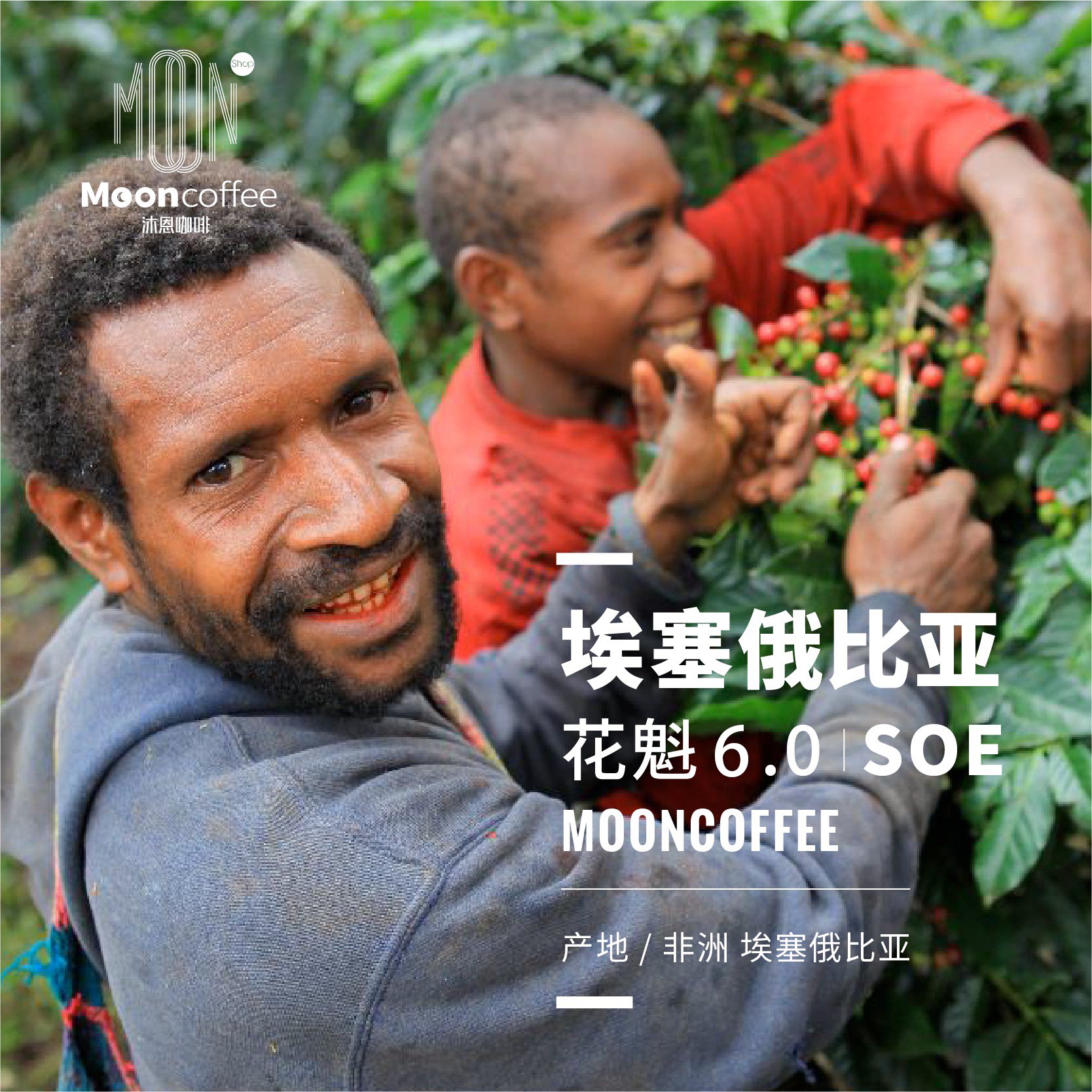 沐恩埃塞俄比亚日晒花魁soe意式浓缩精品咖啡豆新鲜咖啡豆