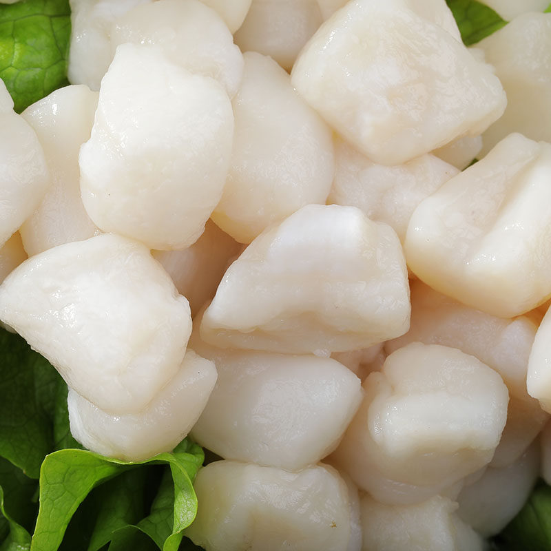 扇贝新鲜冷冻干贝瑶柱肉丁青岛特产宝宝辅食扇贝柱