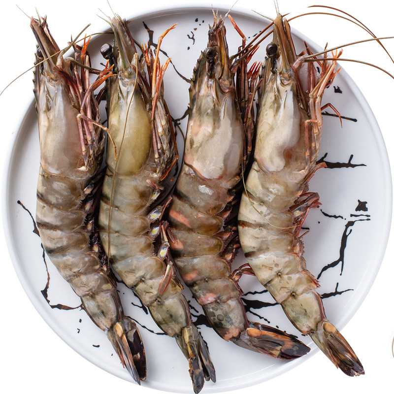 越南虎虾鲜活海鲜老虎特大巨型野生超大速冻冻虾