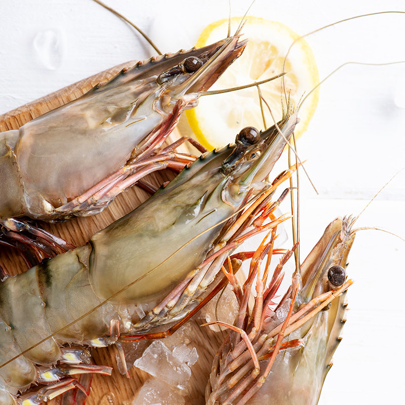 越南虎虾鲜活海鲜老虎特大巨型野生超大速冻冻虾