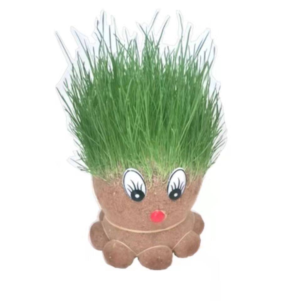 抖音同款浇水草头娃娃迷你情侣可爱创意小盆创意迷你植物