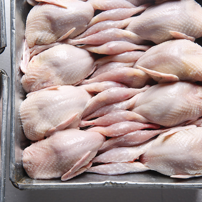 大号母鹌鹑新鲜鹌鹑肉速冻白条鹌鹑烧烤油炸生骨肉现杀20只包邮