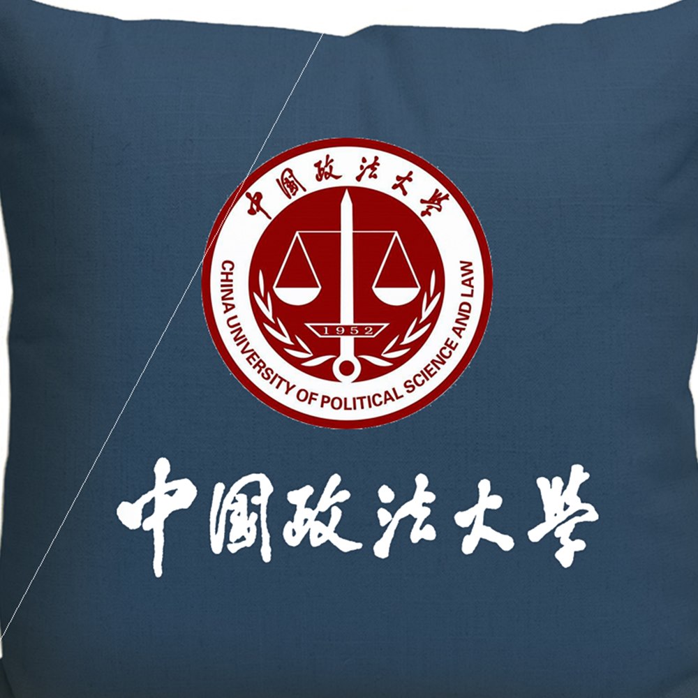 中国政法大学法大周周边纪念品定制励志礼物毕业靠垫