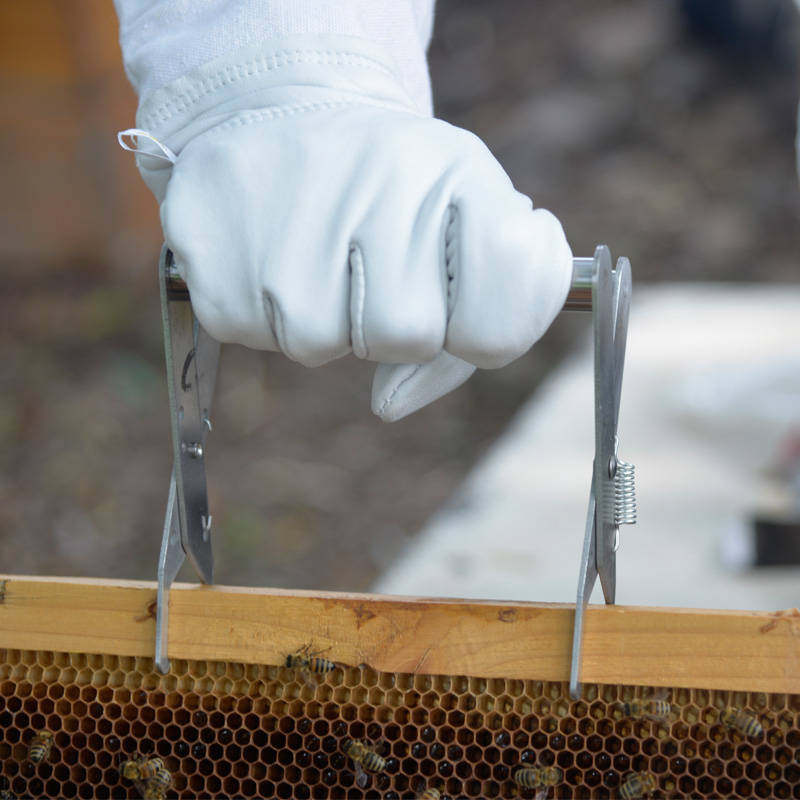 了巢虫清水剂蜡螟巢虫棉虫中蜂用巢虫清灭灵针对中蜂蜜蜂巢虫棉虫病