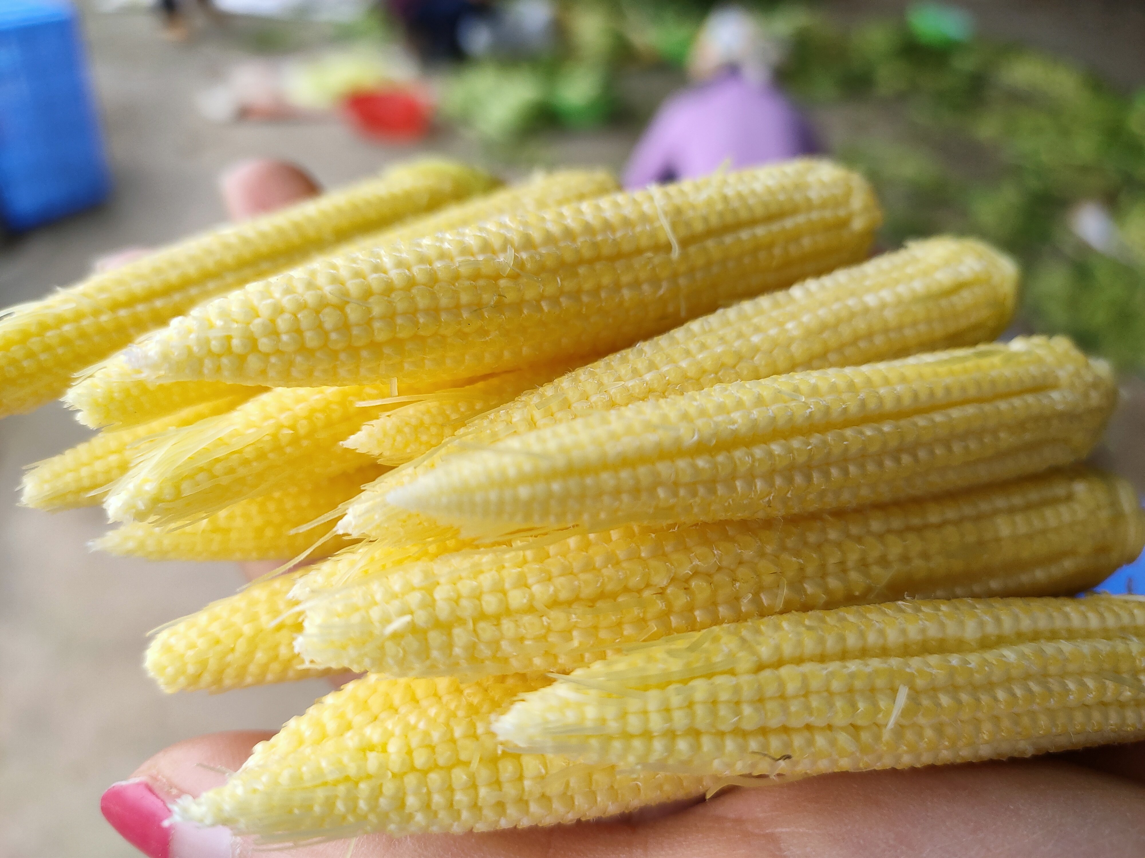 玉米即食广西水果农家迷你小玉米新鲜笋芯心玉新鲜玉米