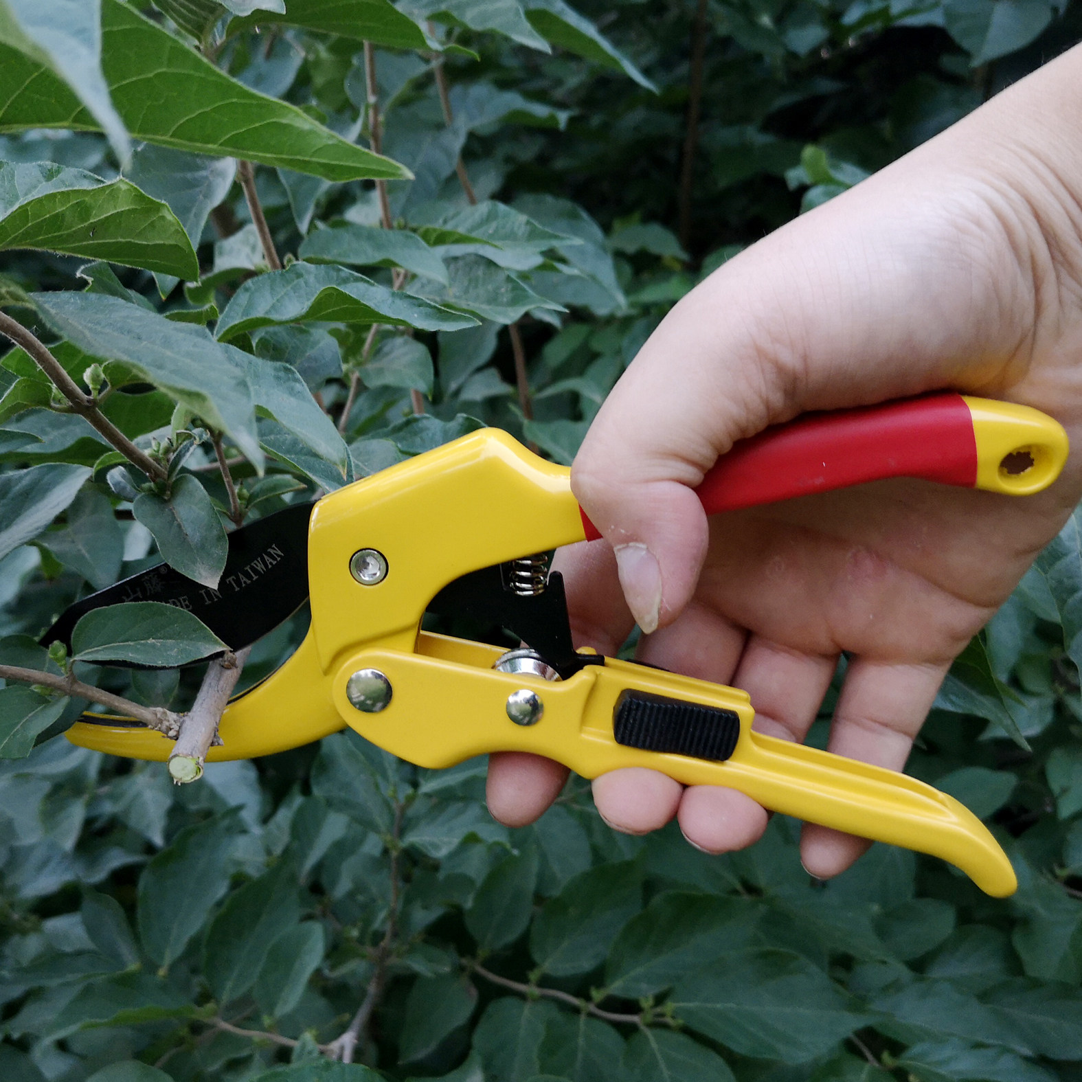 修剪包邮滑轮修枝果树剪子园林园艺省力刀剪园艺剪