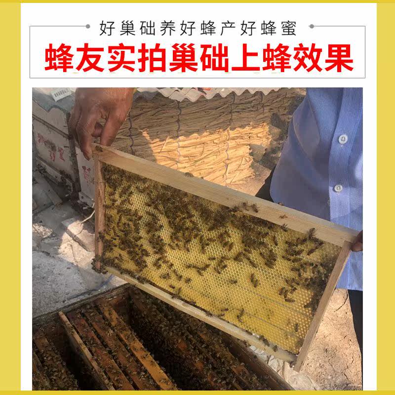 长冀巢础中蜂巢础蜜蜂巢础深房蜂蜡养蜂工具巢脾30片巢皮