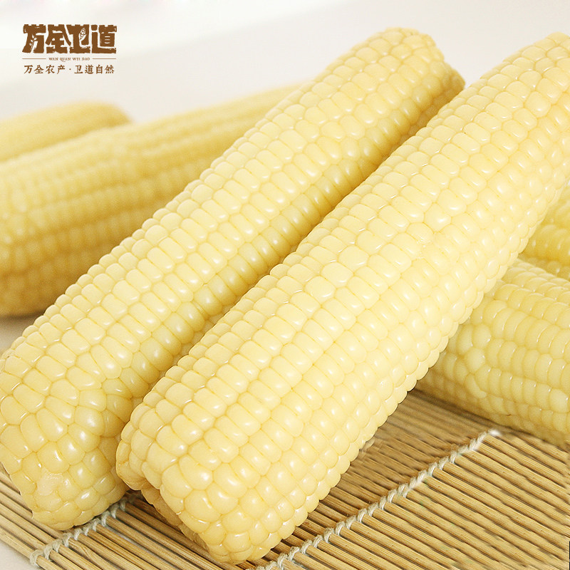 河北万全卫道白糯甜玉米8条装真空真空包包装早午玉米
