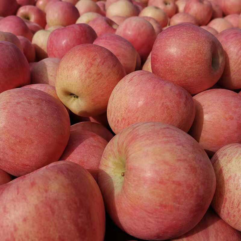 新鲜水晶红富士丑苹果水果带箱5斤脆甜水分足山西萍果顺丰包邮10￥18.
