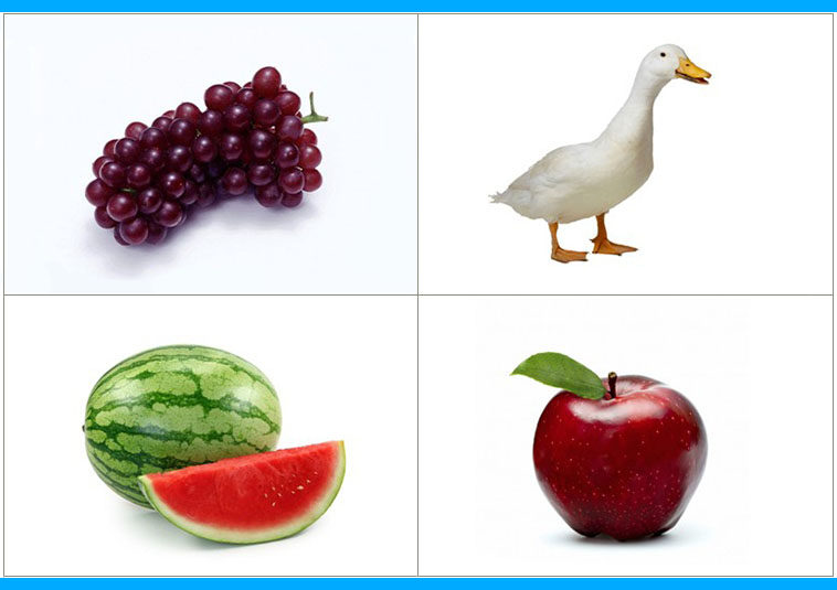 不同于相同卡片式儿童语言认知注意力观察力康复训练玩具挂图