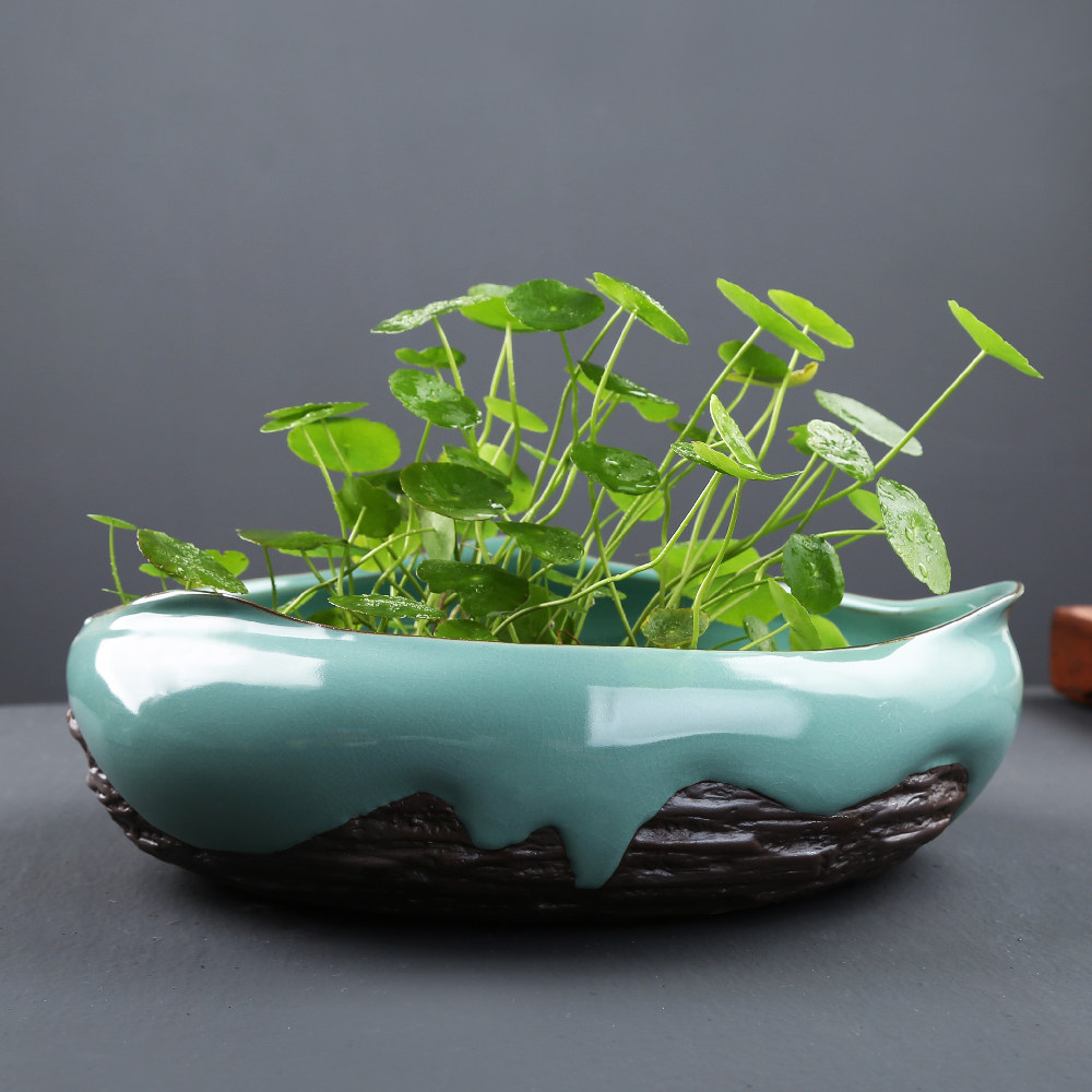 铜钱水仙花水培花盆陶瓷绿植中国国风桌面一叶花盆