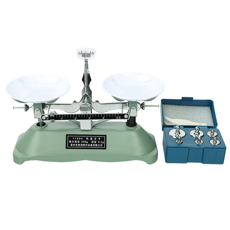 天平新款实验砝码教具器材家用实验室物理托盘教学仪器