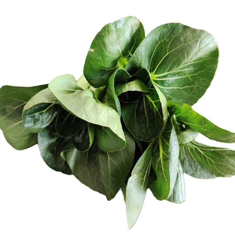 青菜小青新鲜上海500g矮脚农家自种露天5件叶菜类