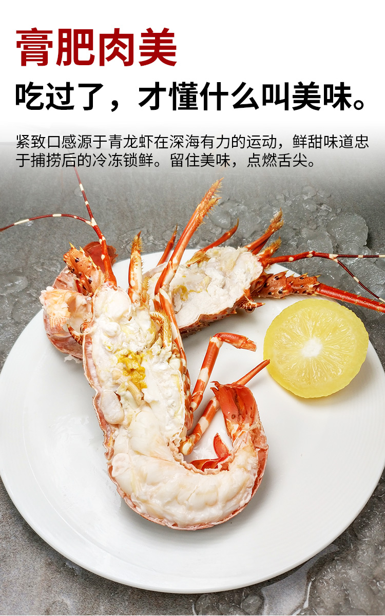 澳洲龙虾冰鲜小青龙生冻海鲜水产两斤生鲜小澳龙奥龙特大波龙冻虾