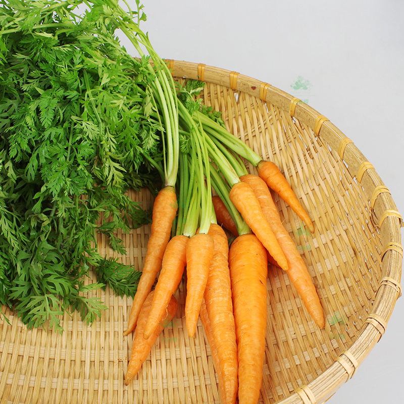 手指萝卜新鲜带叶迷你胡萝卜500g蔬菜沙拉辅食其它