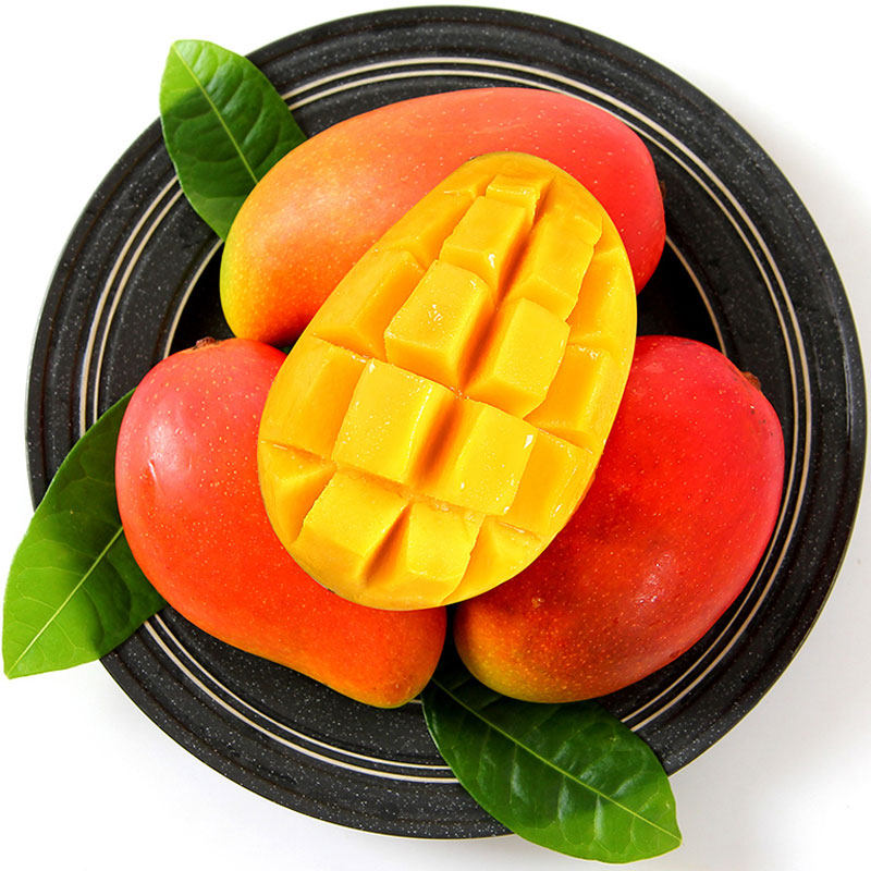 攀枝花清甜纯香小贵妃芒果孕妇新鲜应季自家现发整箱精品10斤包邮