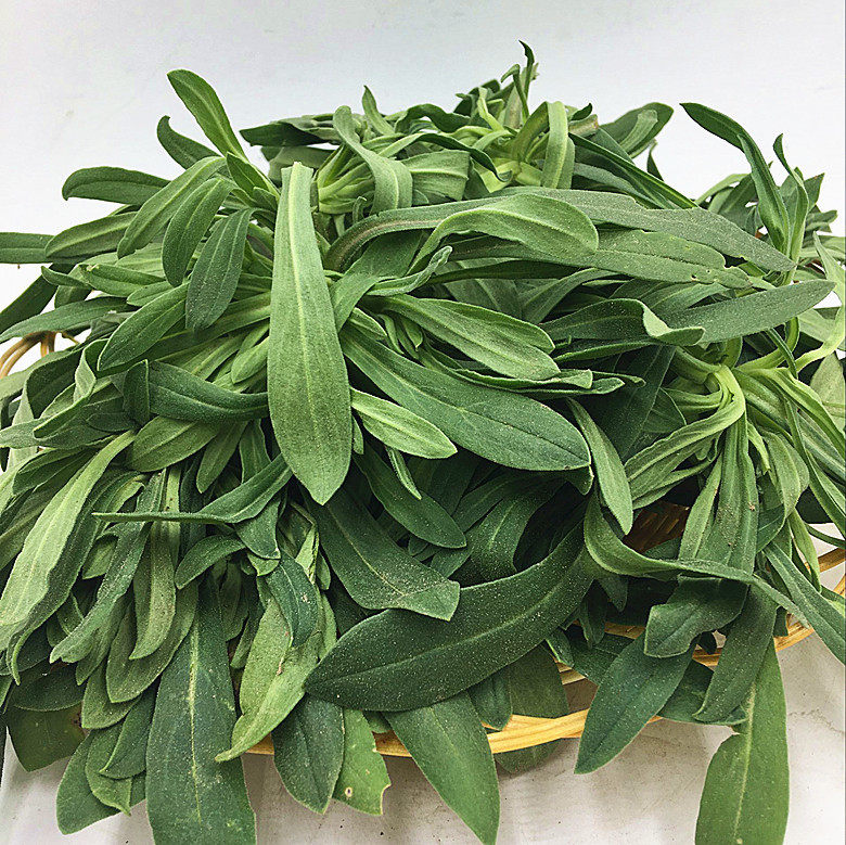 面条野菜新鲜露天霜冻当季蒸菜现挖3斤包邮其它