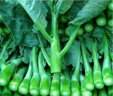 新鲜广东介蓝菜小介兰大介兰中花农家自种绿色有机