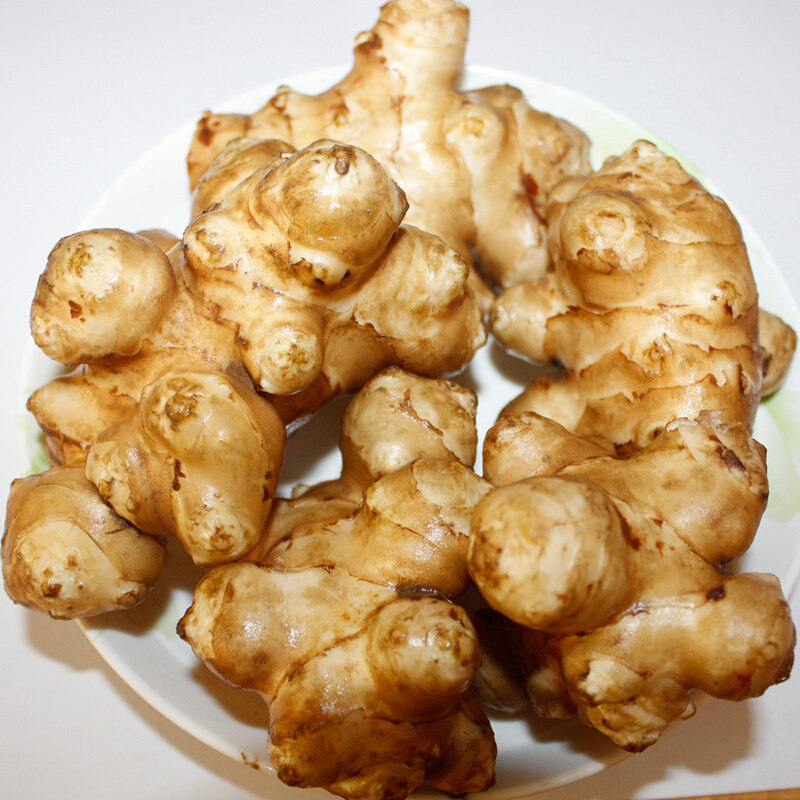 新鲜洋姜5斤鬼子姜菊芋头现货甜姜不辣酱菜生姜