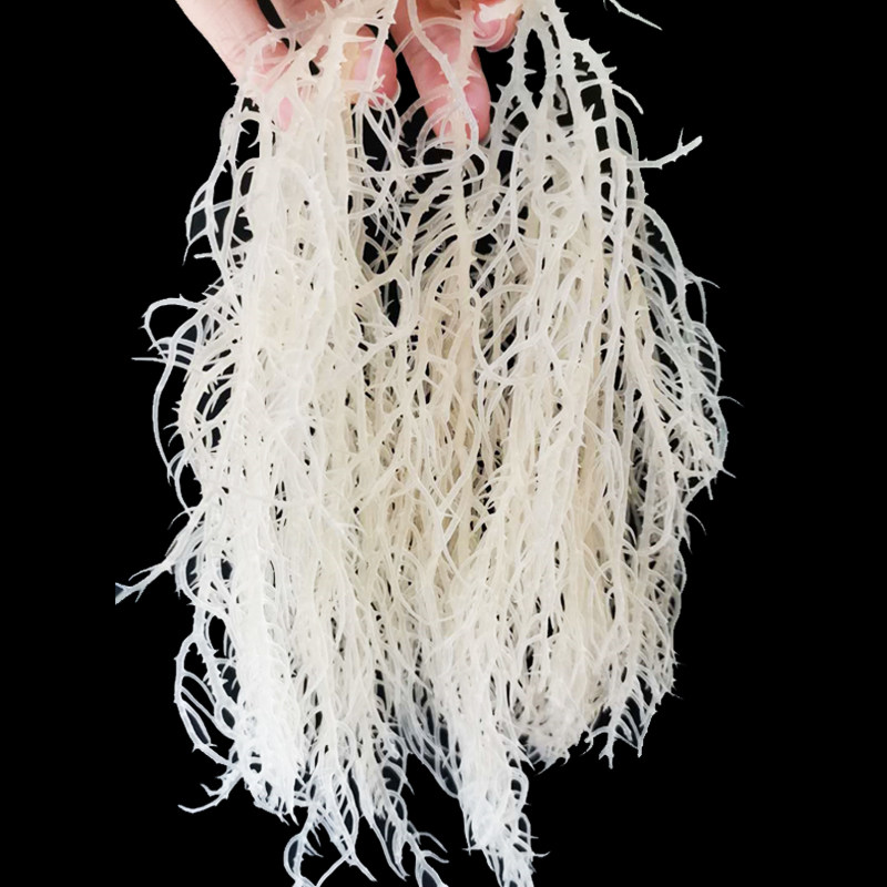 石花菜花菜凉拌淡干龙须菜干货海石花海藻鹿角菜海海带