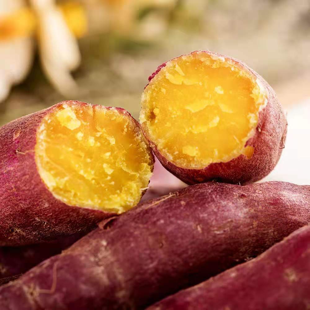 正宗临安天目山小香金手指新鲜小红红薯农家自种番薯