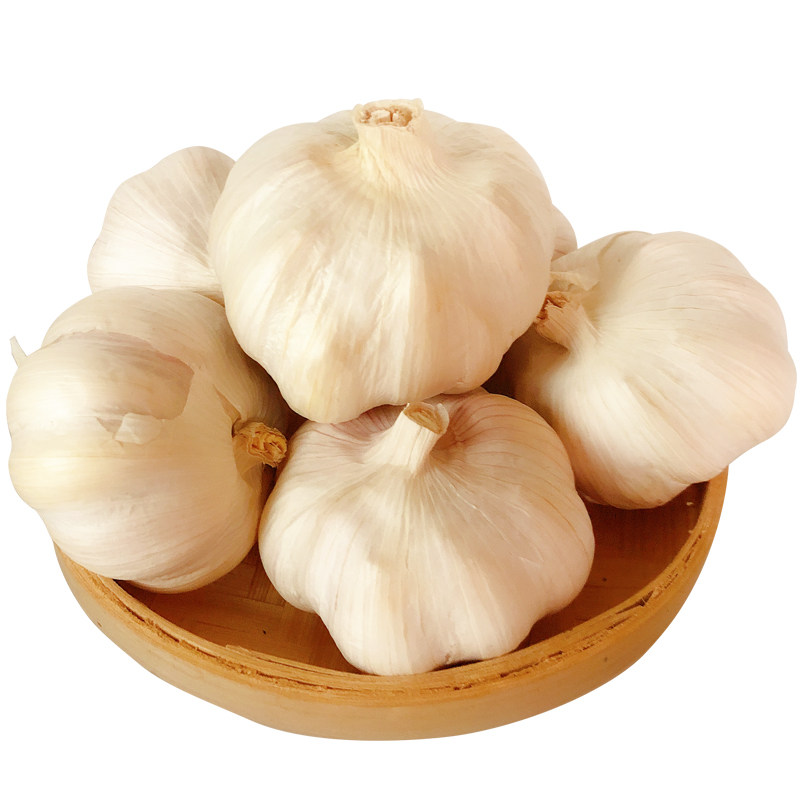 河南新鲜大蒜中牟现挖紫白皮干蒜非山东鲜湿蒜头独头农家蔬菜5斤