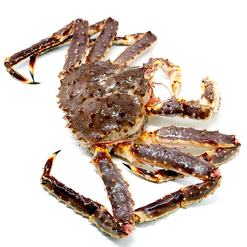 鲜活帝王蟹7.6-8斤整只特大10活蟹阿拉斯加俄罗斯海鲜大螃蟹