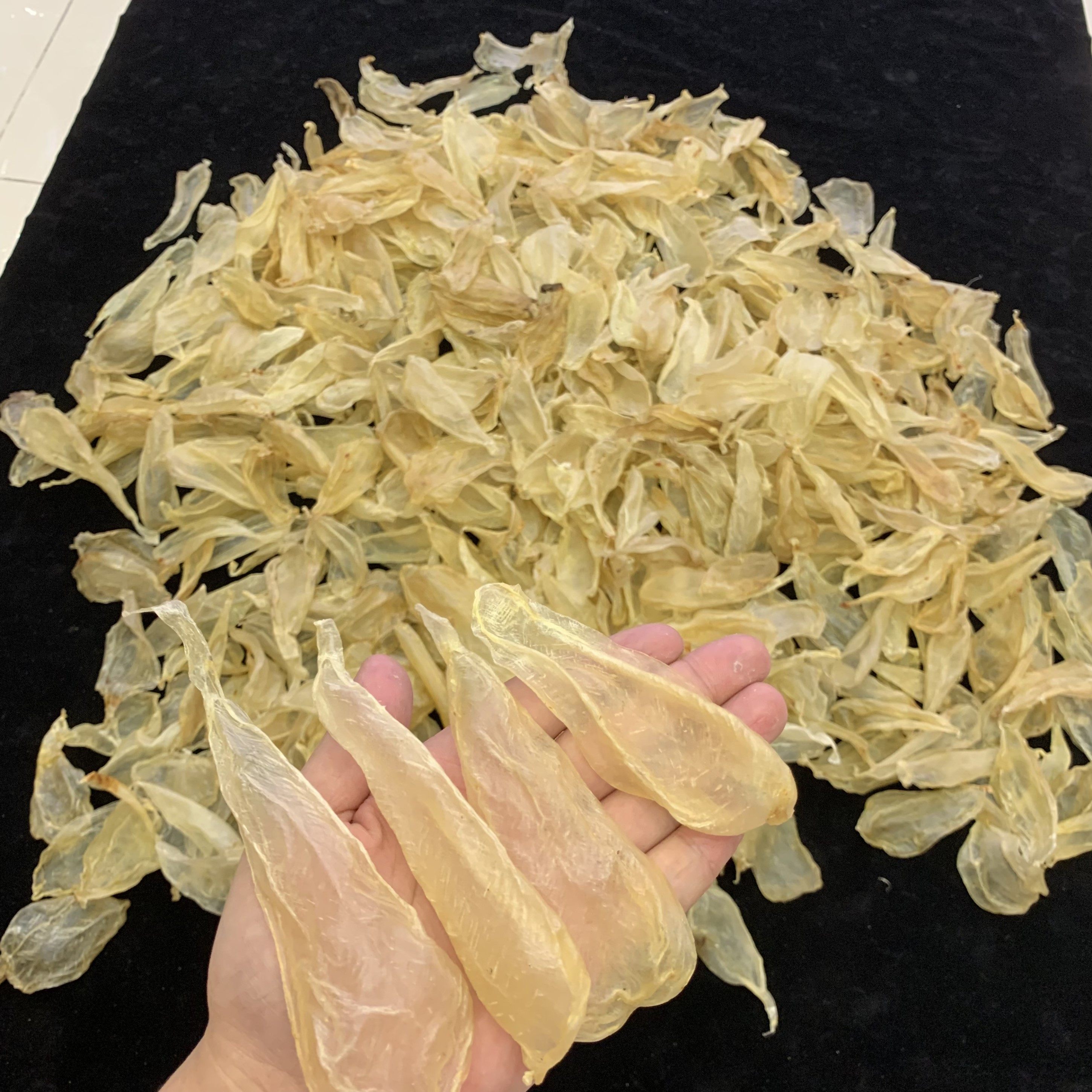 08钱印尼野生白花鱼胶花胶大岛美容美颜公司花胶