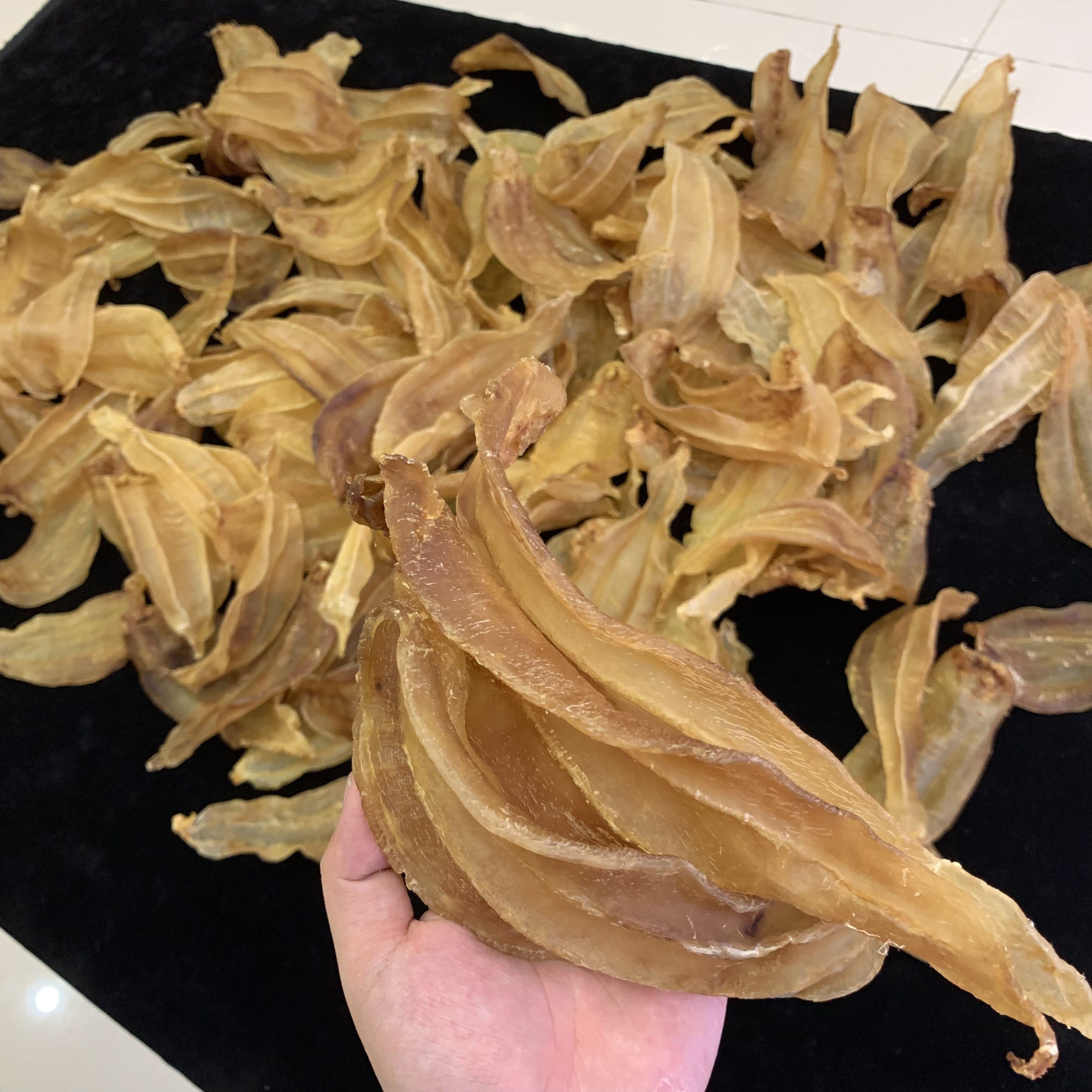 13头野生生土鳘赤嘴公鱼胶深海肉干品花孕妇花胶