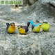 Garden courtyard decoration simulation bird decoration resin animal crafts fake bird living room desktop home gardening Garden courtyard decoration simulation bird decoration resin animal crafts fake bird living room desktop home gardening