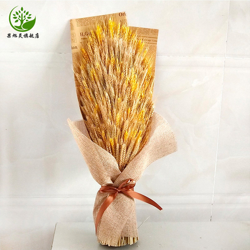 礼品麦穗干花年会花束开业大麦装饰礼盒手捧干花