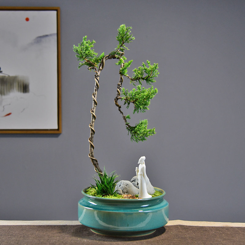 禅意中式大真观赏盆景独杆树桩室内造型植物大型绿植